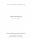 ENSAYO DE LA DIGNIDAD HUMANA EN EL AMBITO SOCIAL