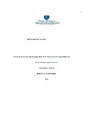Actividad Trabajo colaborativo Método Gauss