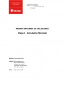 PRIMER INFORME DE DECISIONES: Etapa 1 - Simulación de mercado
