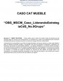 CASO CAT MUEBLE