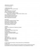 ANÁLISIS DE LA NOVELA “Un Grito Desesperado”