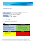 Estudio del Caso TIMEX 1