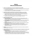 Gobierno Taller de la Sociedad Humana