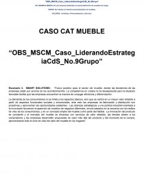 CASO CAT MUEBLE. Página 1
