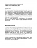 OPINIÓN DEL MUSEO TAMAYO Y ANTROPOLOGÍA