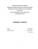Economia y política
