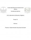 Practica I: Determinación de puntos de fusión