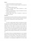 Informe del Laboratorio. Célula