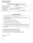 PRUEBA UNIDAD 1: “Una fantasía de cuentos”