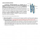 VARICES DE MIEMBROS INFERIORES