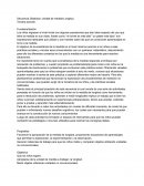 Secuencia Didáctica: Unidad de medida-Longitud