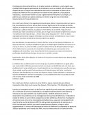 Informe Annie McCann