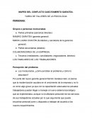 MAPEO DEL CONFLICTO CASO RAMIRITO GARATEA