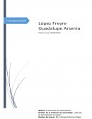 Fundamentos de la administracion. ¿Qu tipo de administración se aplica?