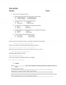 Politicas Publicas. Departamento de Tolima