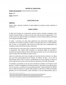 El ADN de un tomate
