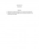 Laboratorio # 3 Calorimetría