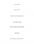 SOCIOLOGIA. Familia y Sociedad