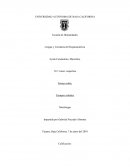 Ensayo sobre Tiempos verbales