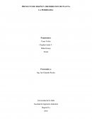 PROYECTO DE DISEÑO Y DISTRIBUCION DE PLANTA LA PEDREGOZA