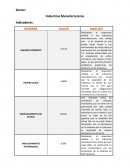 TRABAJO DE INDICADORES FINANCIEROS. Industrias Manufactureras