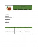 Procedimiento de manejo de Sustancia peligrosa TIMBERLUX para maderas impregnadas