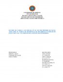 ESTUDIO DE FAMILIA A.M UBICADA EN EL SECTOR PRIMERO DE MAYO, APLICANDO EL MARCO DE REFERENCIA DE DESARROLLO FAMILIAR DE EVELYN DUVALL Y EL PROCESO DE ATENCIÓN DE ENFERMERÍA