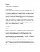 Agricultura ¿Qué es el sector primario?