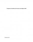 Programa de Auditoría de Procesos Tecnológicos SMU