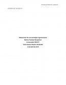 Elaboración de una estrategia organizacional