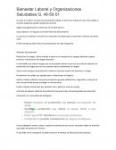 Bienestar Laboral y Organizaciones Saludables