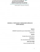 FORTALEZAS Y DEBILIDADES (ÁREAS DE OPORTUNIDAD)
