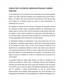 CONFLICTOS Y PATENTES: DERECHOS PRIVADOS Y BIENES PUBLICOS