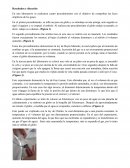 Leyes empíricas de los gases - laboratorio