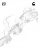 Absorbancia y transmitancia de los gases producto de una combustión