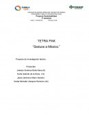 TETRA PAK “Seduce a México.” Proyecto de Investigación teórico.