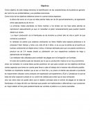 Frambuesas