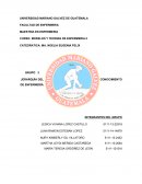 Jerarquia de conocimiento de enfermeria