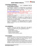 DEL SISTEMA DE CAMPEONATO