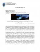 Analisis de coyuntura cobre