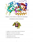 EFECTO DE LA CONCENTRACIÓN DE ENZIMA