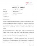 TRABAJO VOLUNTARIO “ORGANIZACIÓN Y EMPRESA”