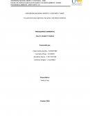 FISICOQUIMICA AMBIENTAL