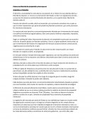 Países con libertad de propiedad y otros que no Argentina y Finlandia