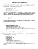 Ejercicio de produccion, empresa agroindustrial “Virgo S.A.”