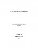 Calculo diferencial e integral