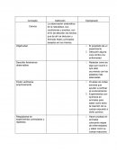 Taller. La observación sistemática de la naturaleza