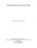ENSAYO SOBRE NOTICIA “BOXISLEEP, EL EMPRENDIMIENTO COLOMBIANO QUE INNOVA EN LA INDUSTRIA DEL SUEÑO”