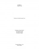 Opinion sobre el arte