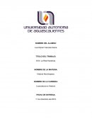 XVIII. La Real Hacienda